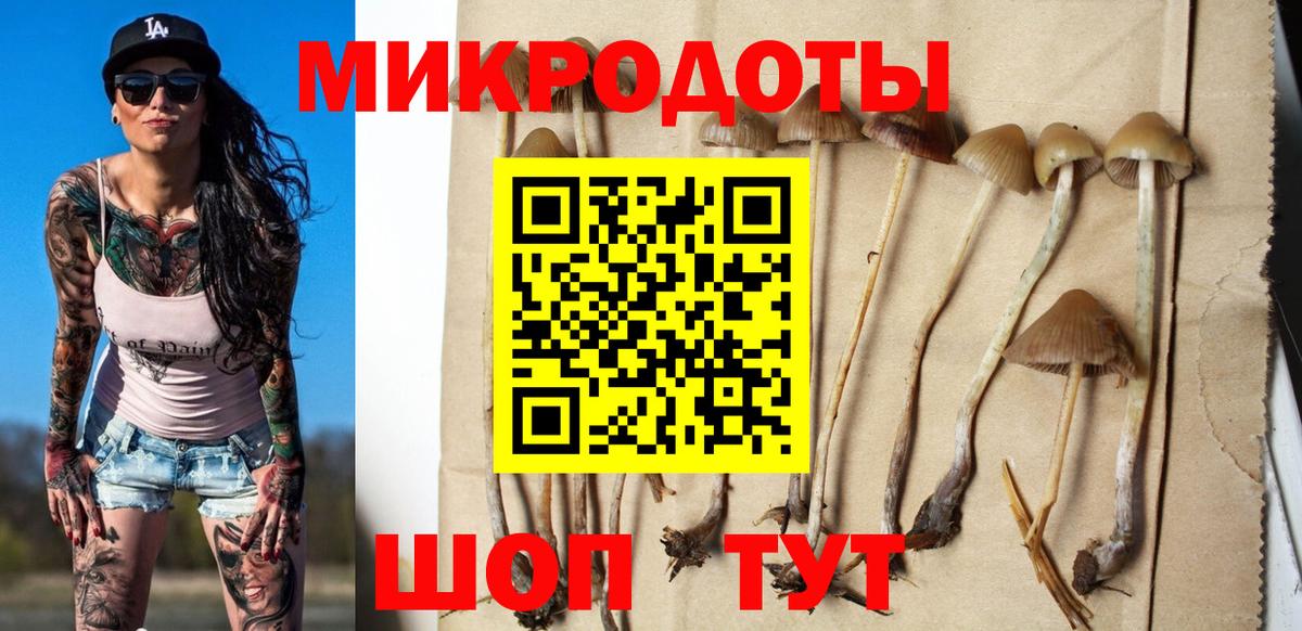 Щёлково  Галлюциногенные грибы Magic Shrooms  Вход с VPN  Псилоцибиновые грибы прущие грибы 