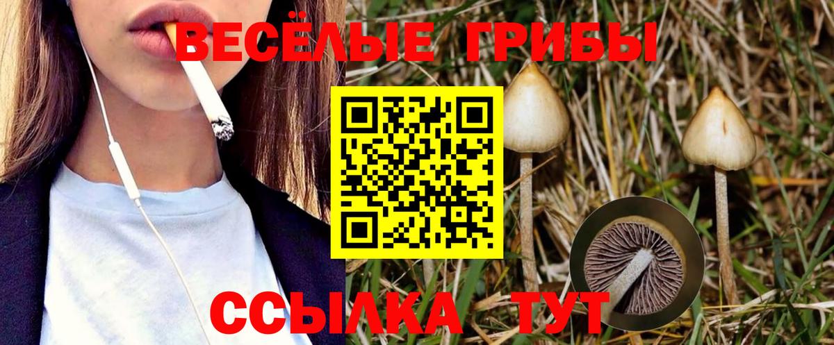 Псилоцибиновые грибы Cubensis Щёлково